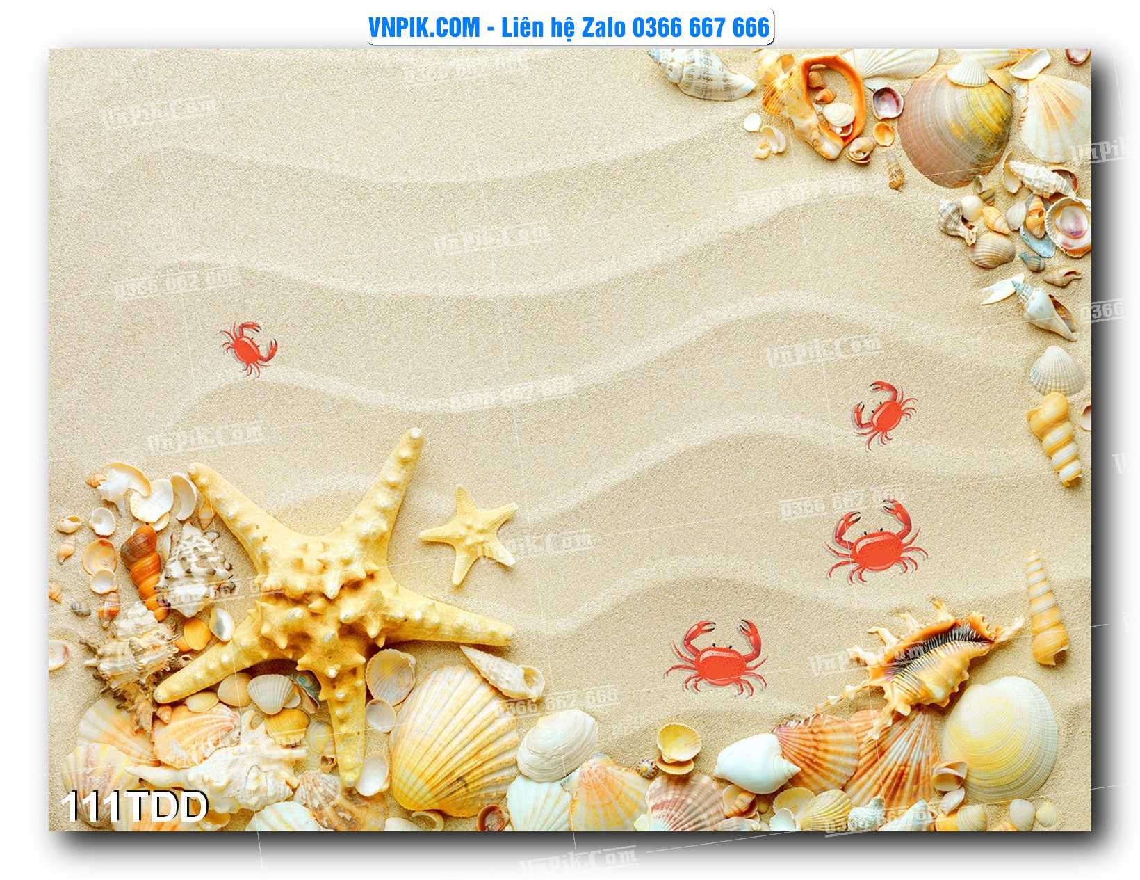 Tranh đại dương – cá heo 3D – tranh bể cá 111TDD