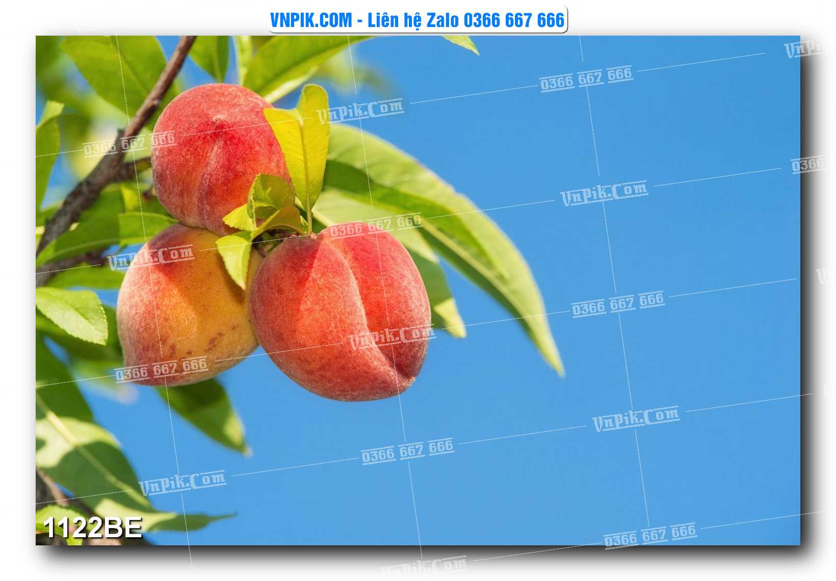 Tranh treo tường trang trí phòng bếp đẹp mã 1122BE