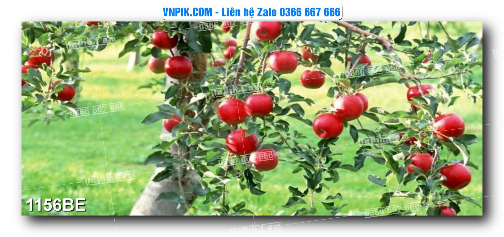 Tranh treo tường trang trí phòng bếp đẹp mã 1156BE