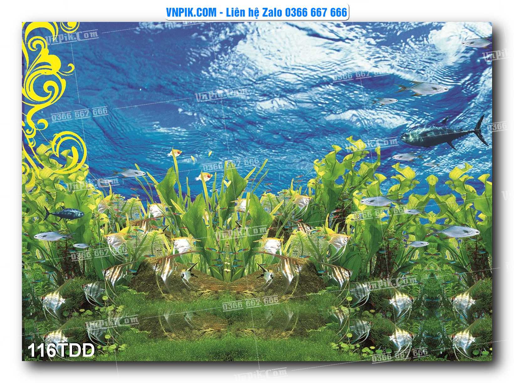Tranh đại dương – cá heo 3D – tranh bể cá 116TDD