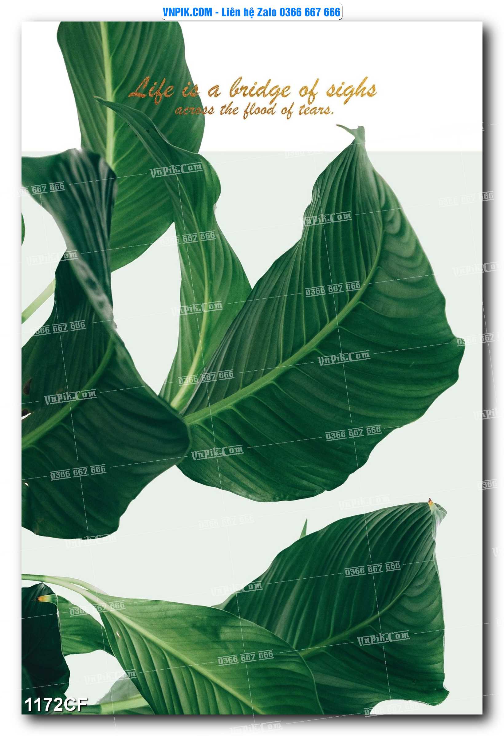 Tranh tường trang trí quán cà phê – trà chanh – trà sữa mã 1172CF