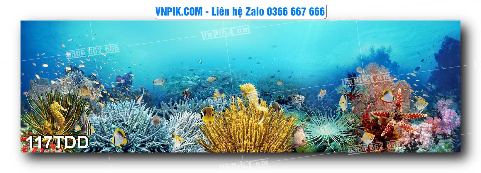 Tranh đại dương – cá heo 3D – tranh bể cá 117TDD