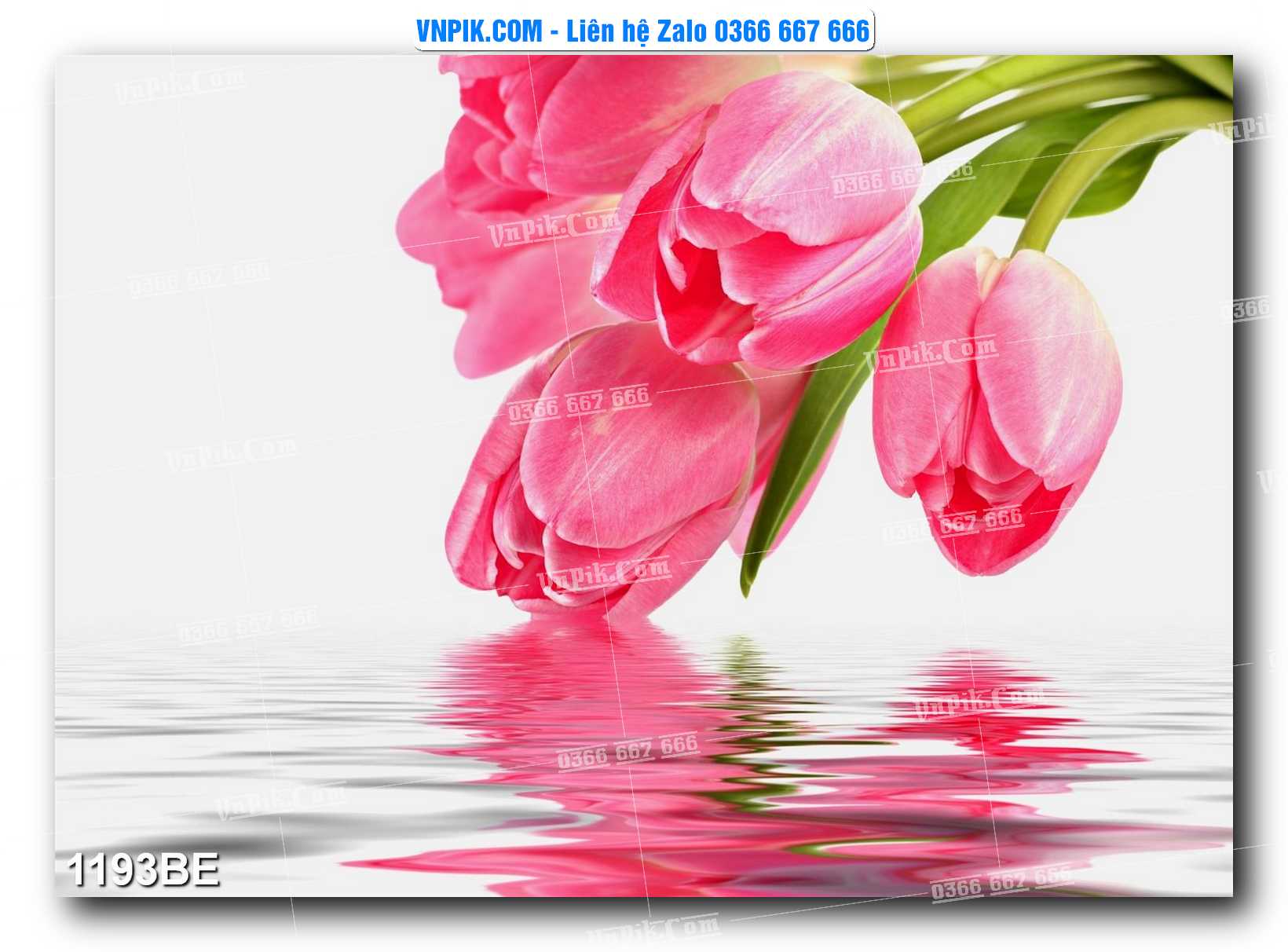 Tranh treo tường trang trí phòng bếp đẹp mã 1193BE
