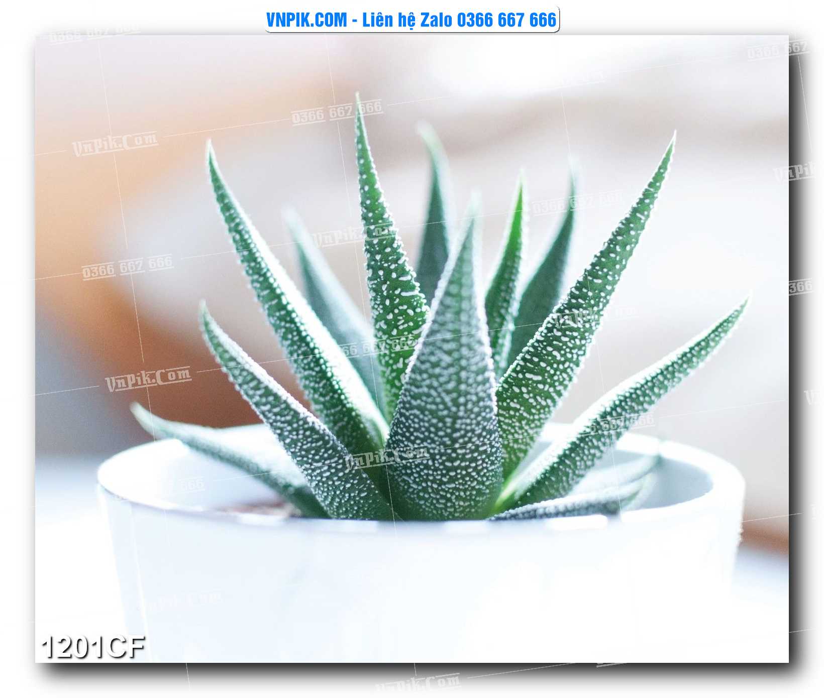 Tranh tường trang trí quán cà phê – trà chanh – trà sữa mã 1201CF