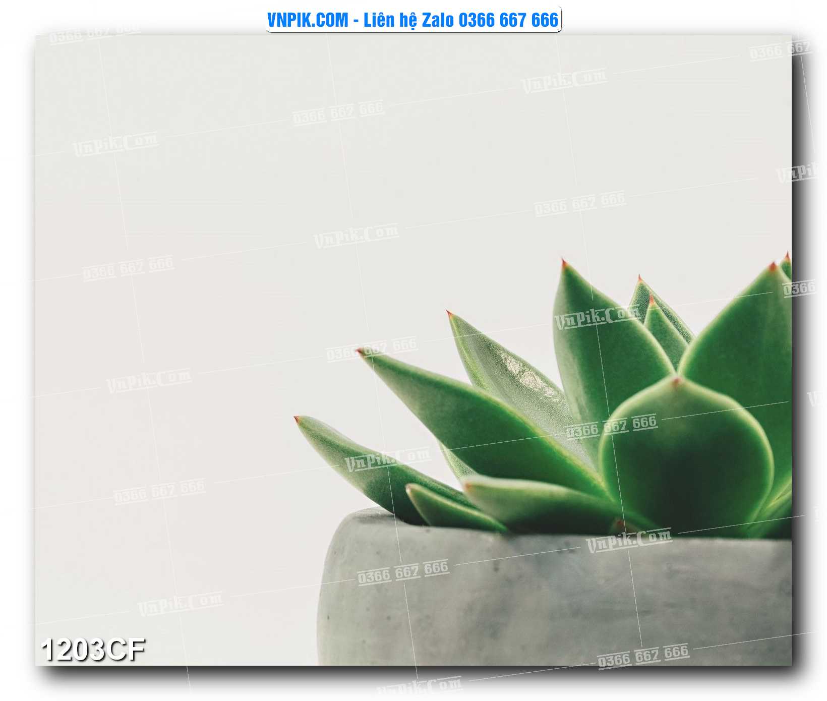 Tranh tường trang trí quán cà phê – trà chanh – trà sữa mã 1203CF