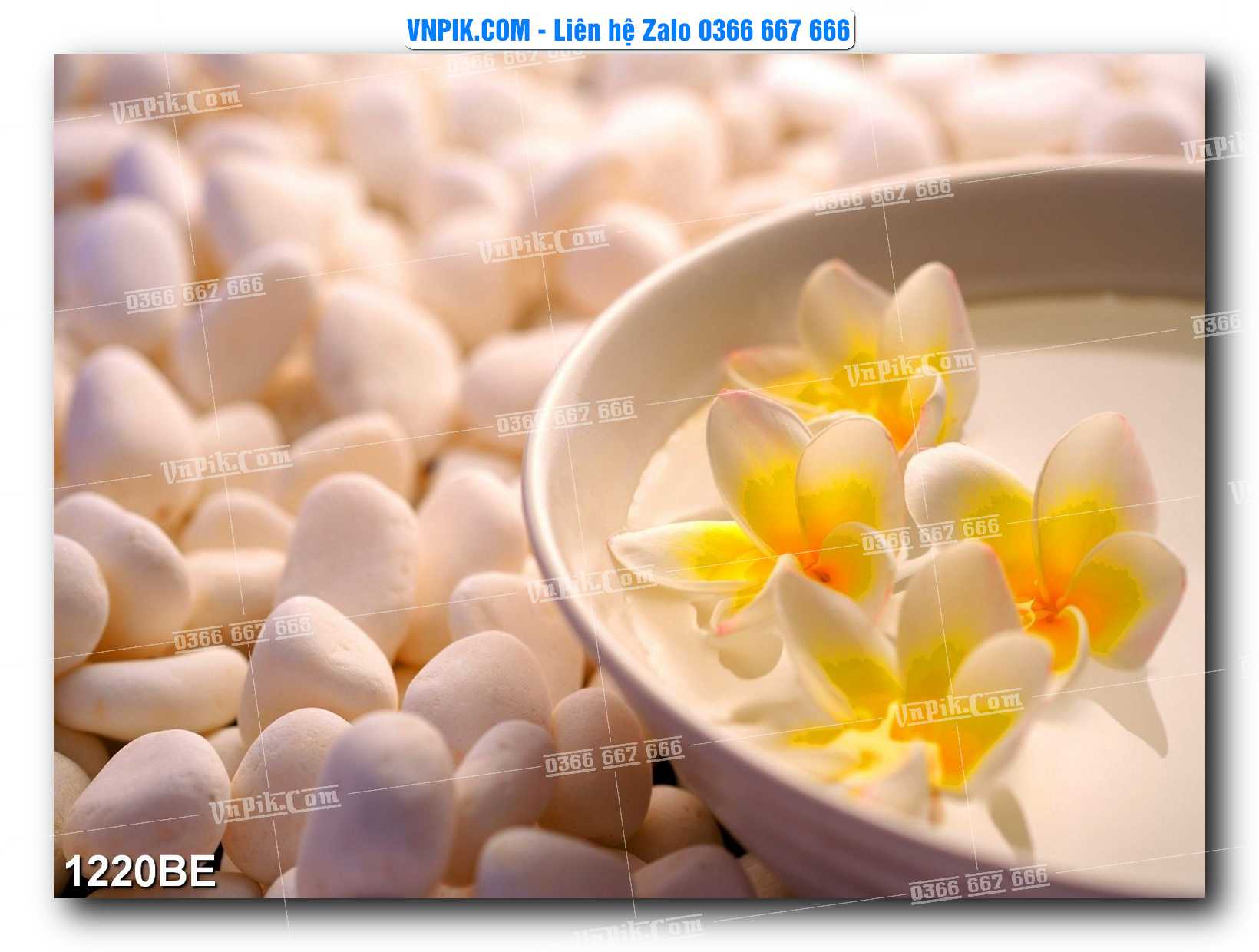 Tranh treo tường trang trí phòng bếp đẹp mã 1220BE