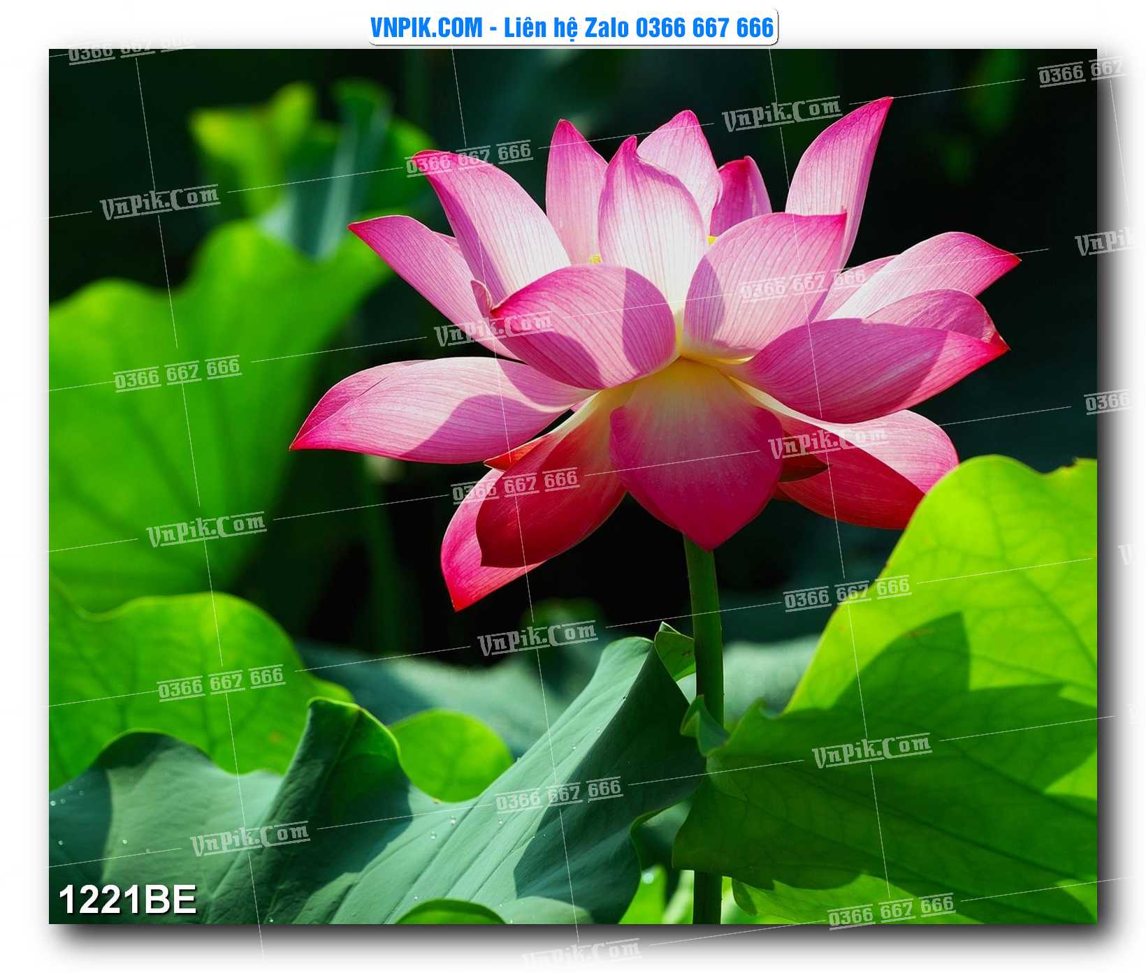 Tranh treo tường trang trí phòng bếp đẹp mã 1221BE