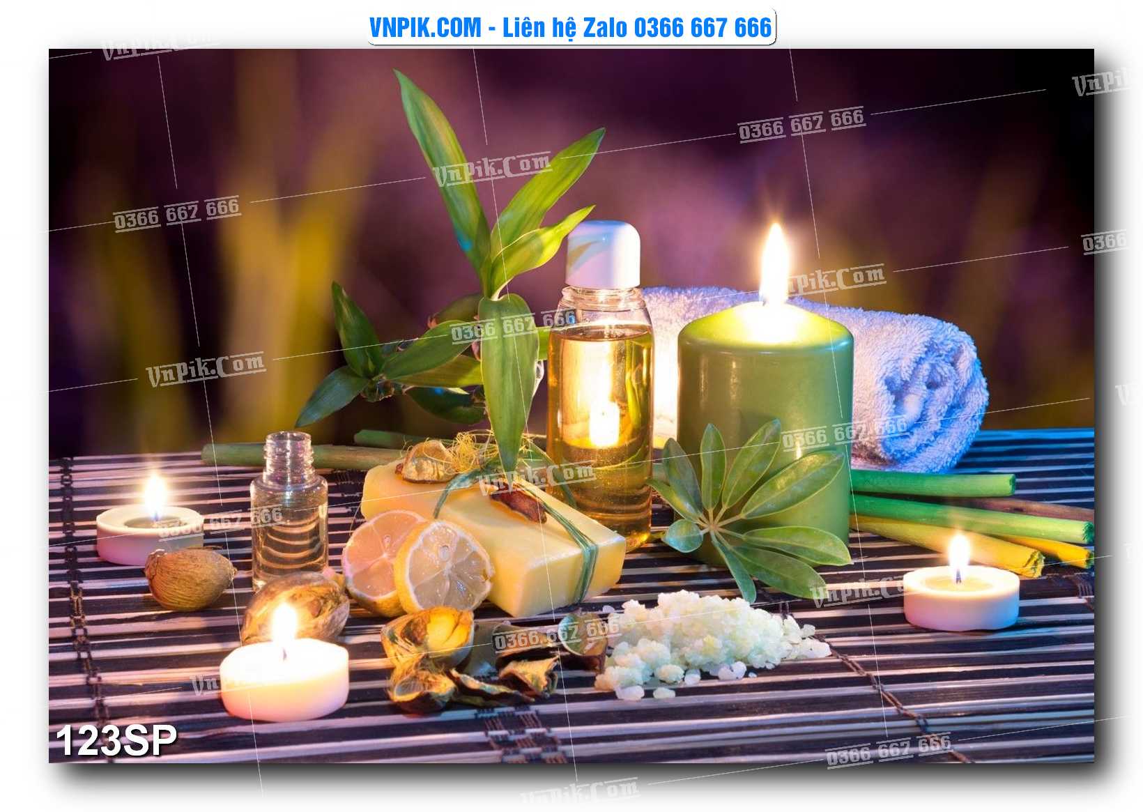 Mẫu tranh spa treo tường đẹp file vector – psd mẫu 123SP