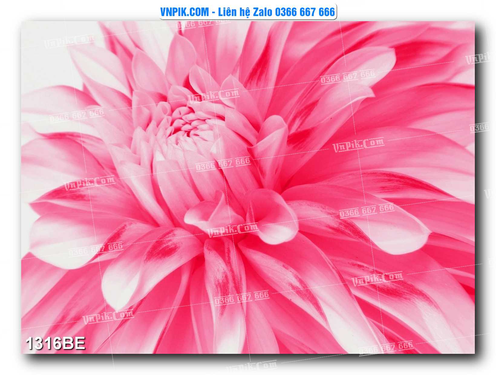 Tranh treo tường trang trí phòng bếp đẹp mã 1316BE