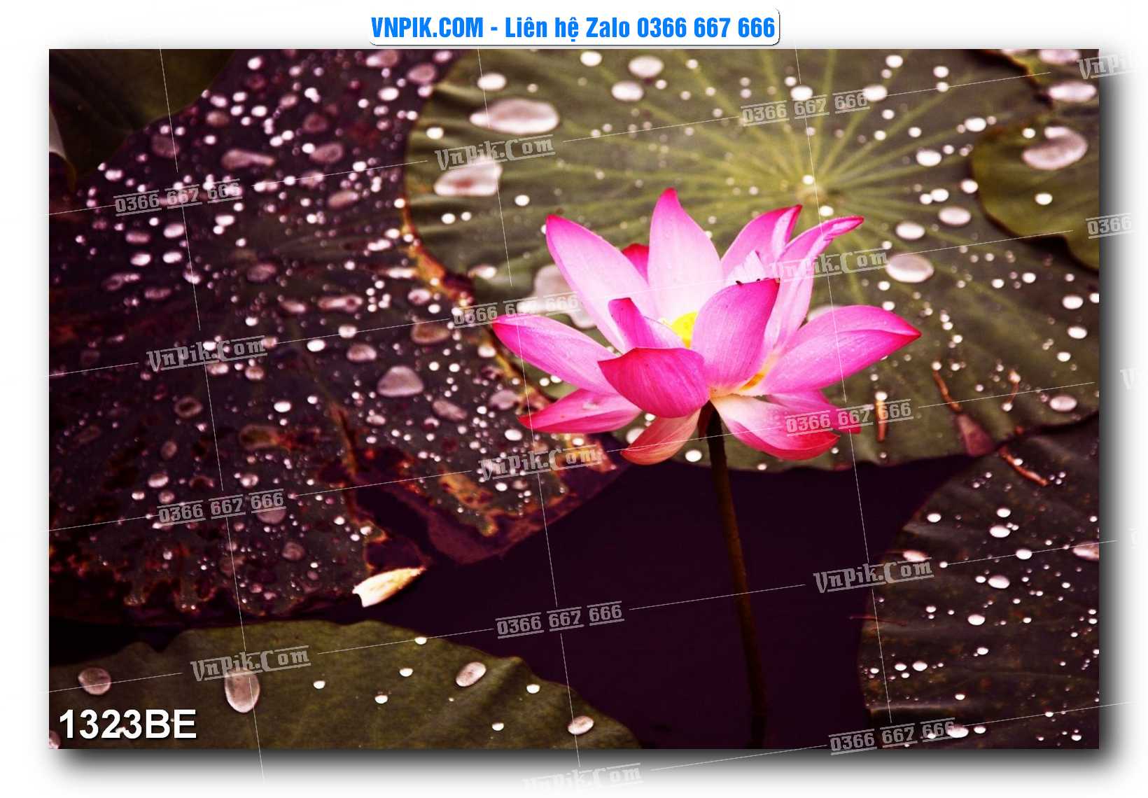 Tranh treo tường trang trí phòng bếp đẹp mã 1323BE