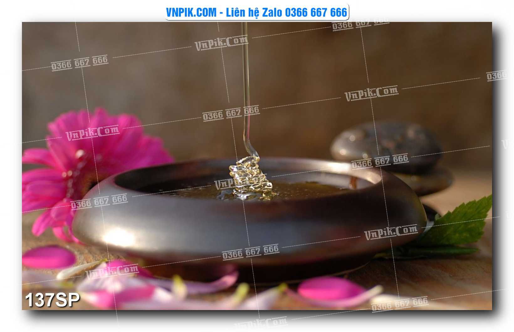 Mẫu tranh spa treo tường đẹp file vector – psd mẫu 137SP
