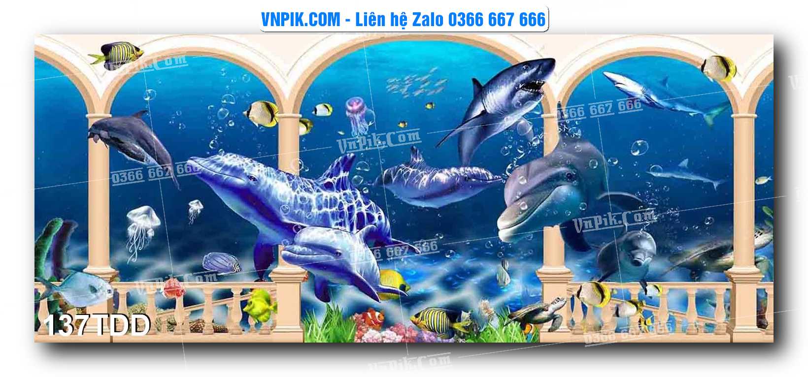 Tranh đại dương – cá heo 3D – tranh bể cá 137TDD