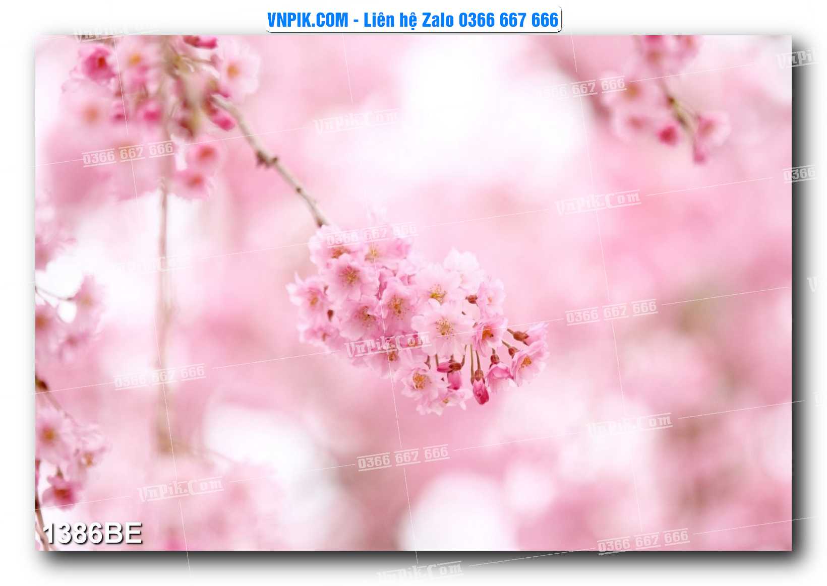 Tranh treo tường trang trí phòng bếp đẹp mã 1386BE
