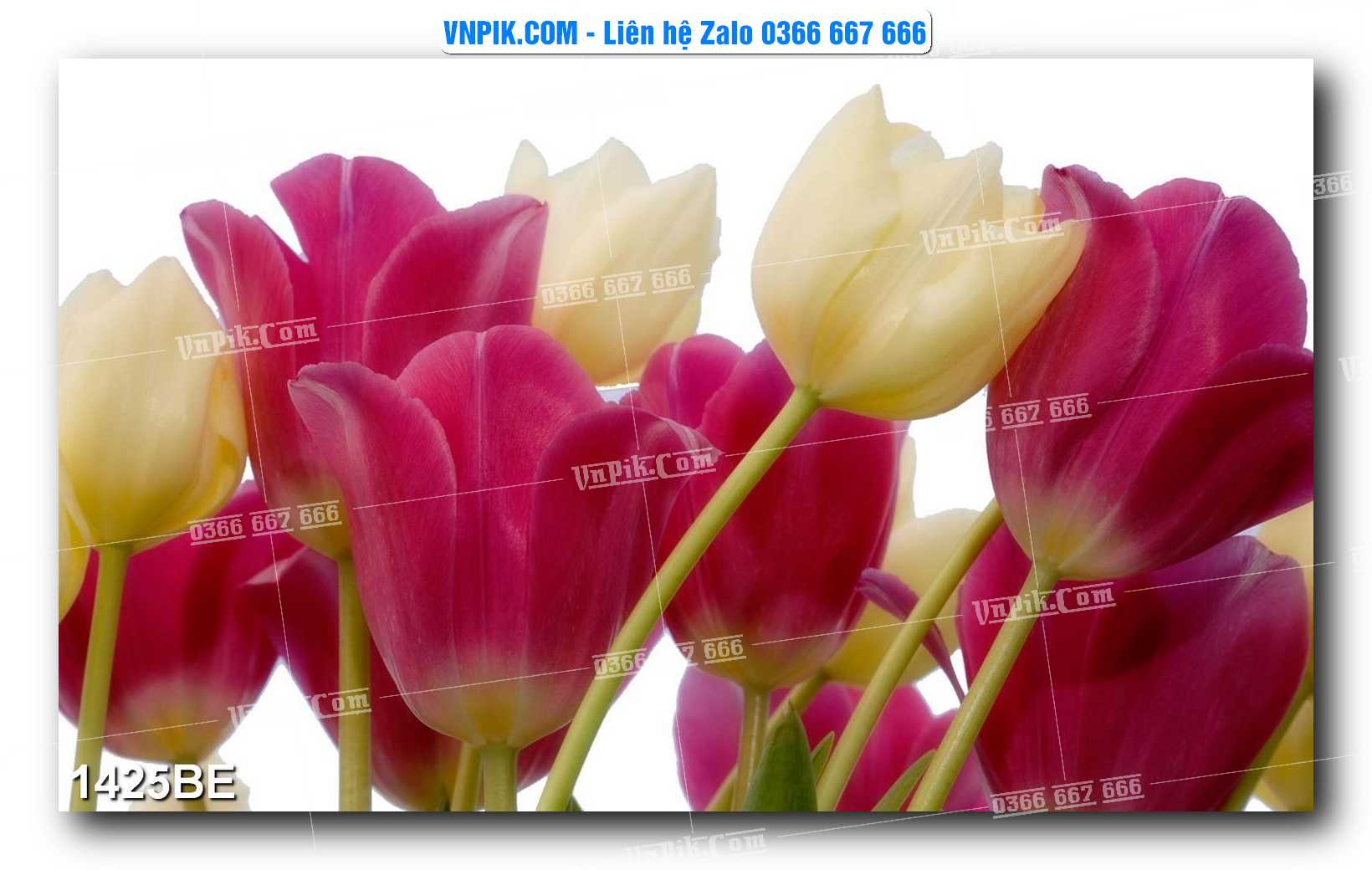 Tranh treo tường trang trí phòng bếp đẹp mã 1425BE