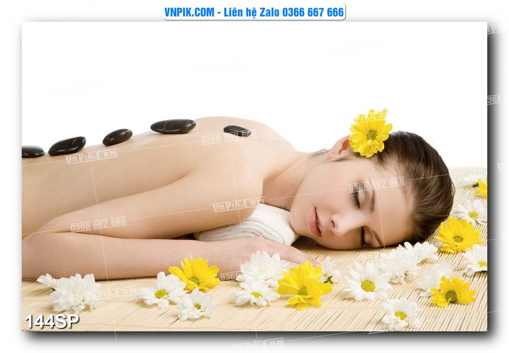 Mẫu tranh spa treo tường đẹp file vector – psd mẫu 144SP