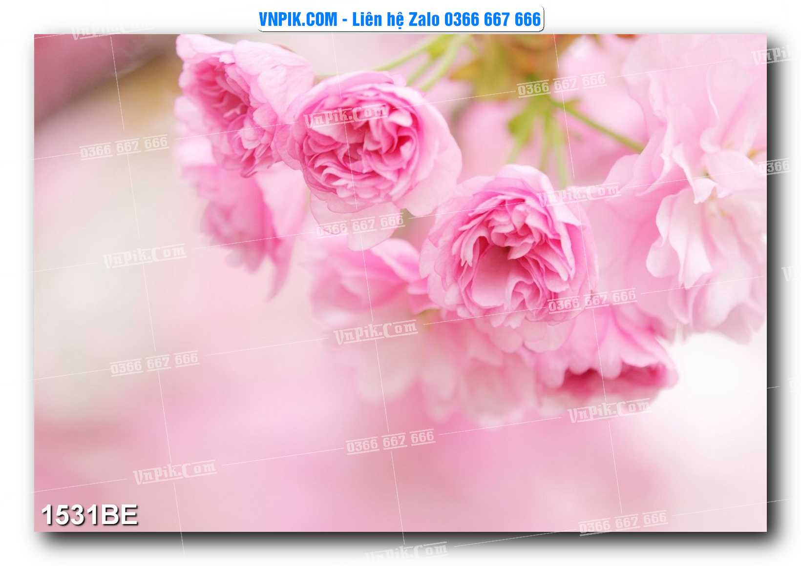 Tranh treo tường trang trí phòng bếp đẹp mã 1531BE