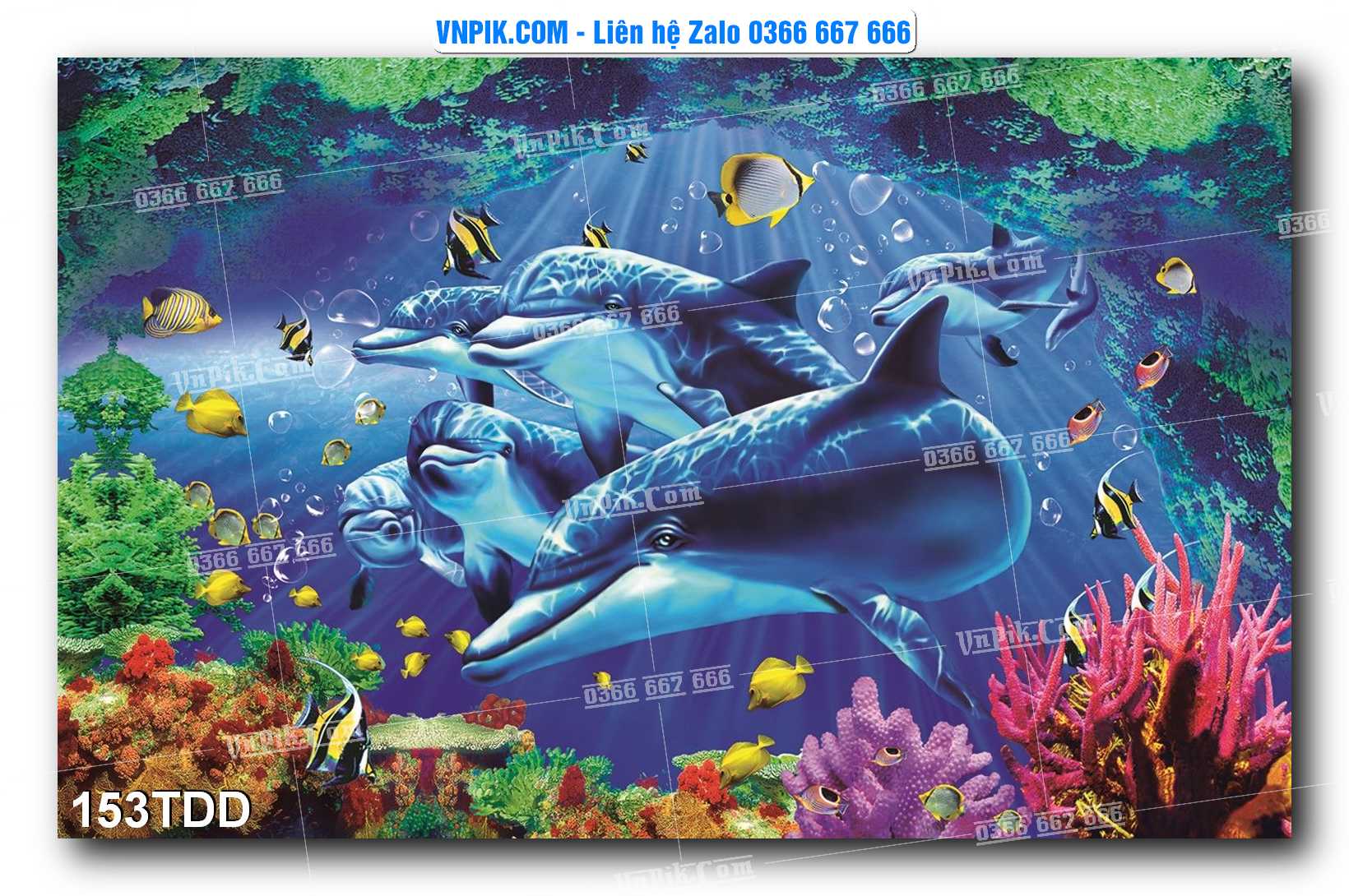 Tranh đại dương – cá heo 3D – tranh bể cá 153TDD
