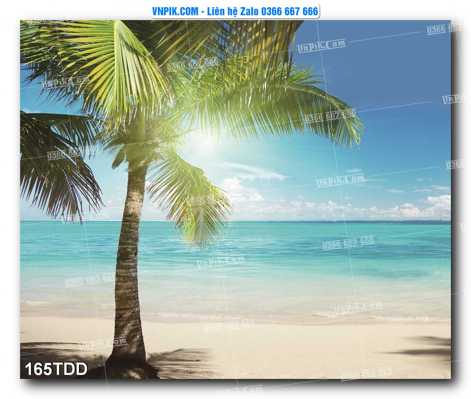 Tranh đại dương – cá heo 3D – tranh bể cá 165TDD