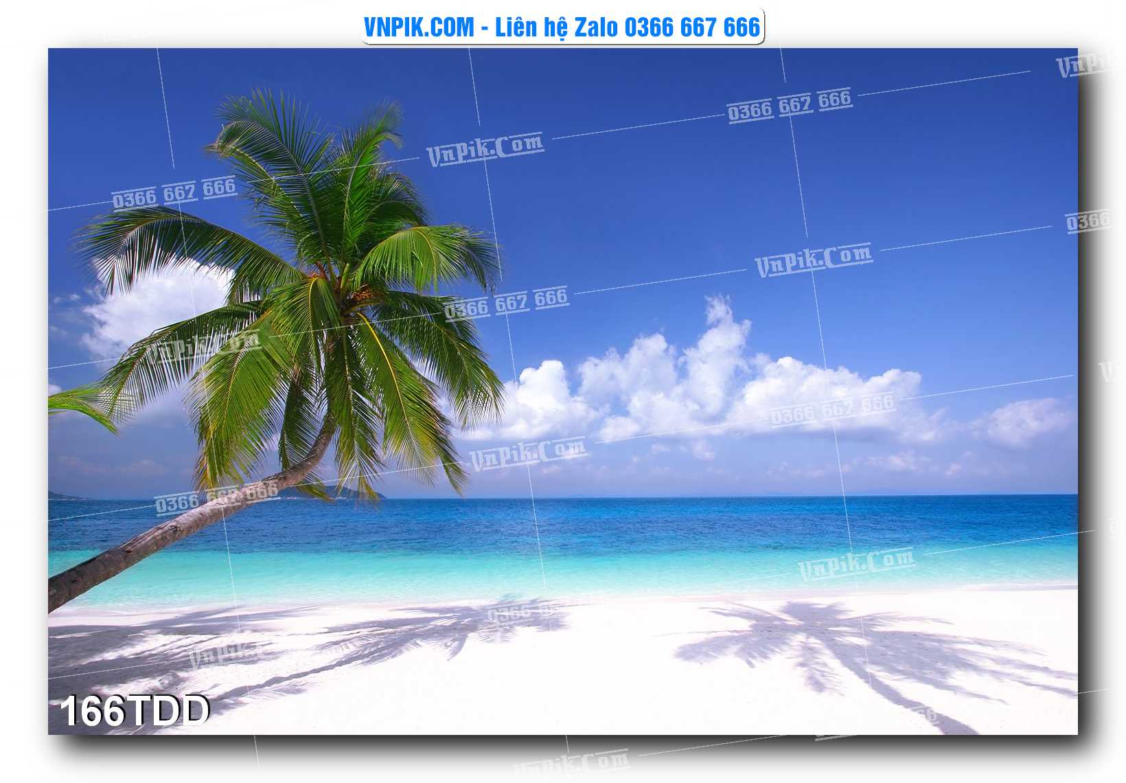 Tranh đại dương – cá heo 3D – tranh bể cá 166TDD
