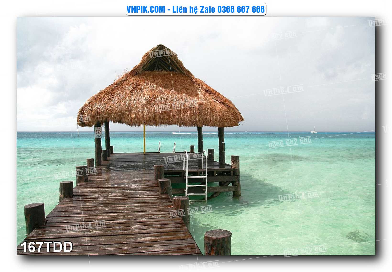 Tranh đại dương – cá heo 3D – tranh bể cá 167TDD