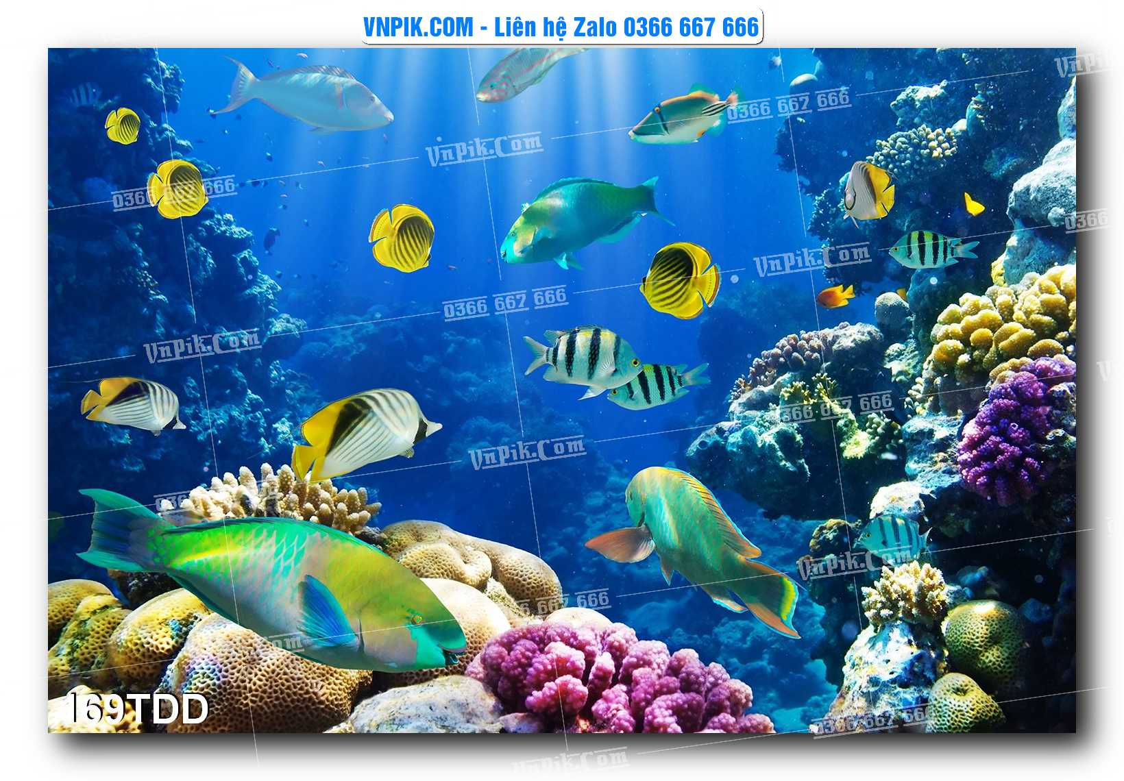 Tranh đại dương – cá heo 3D – tranh bể cá 169TDD