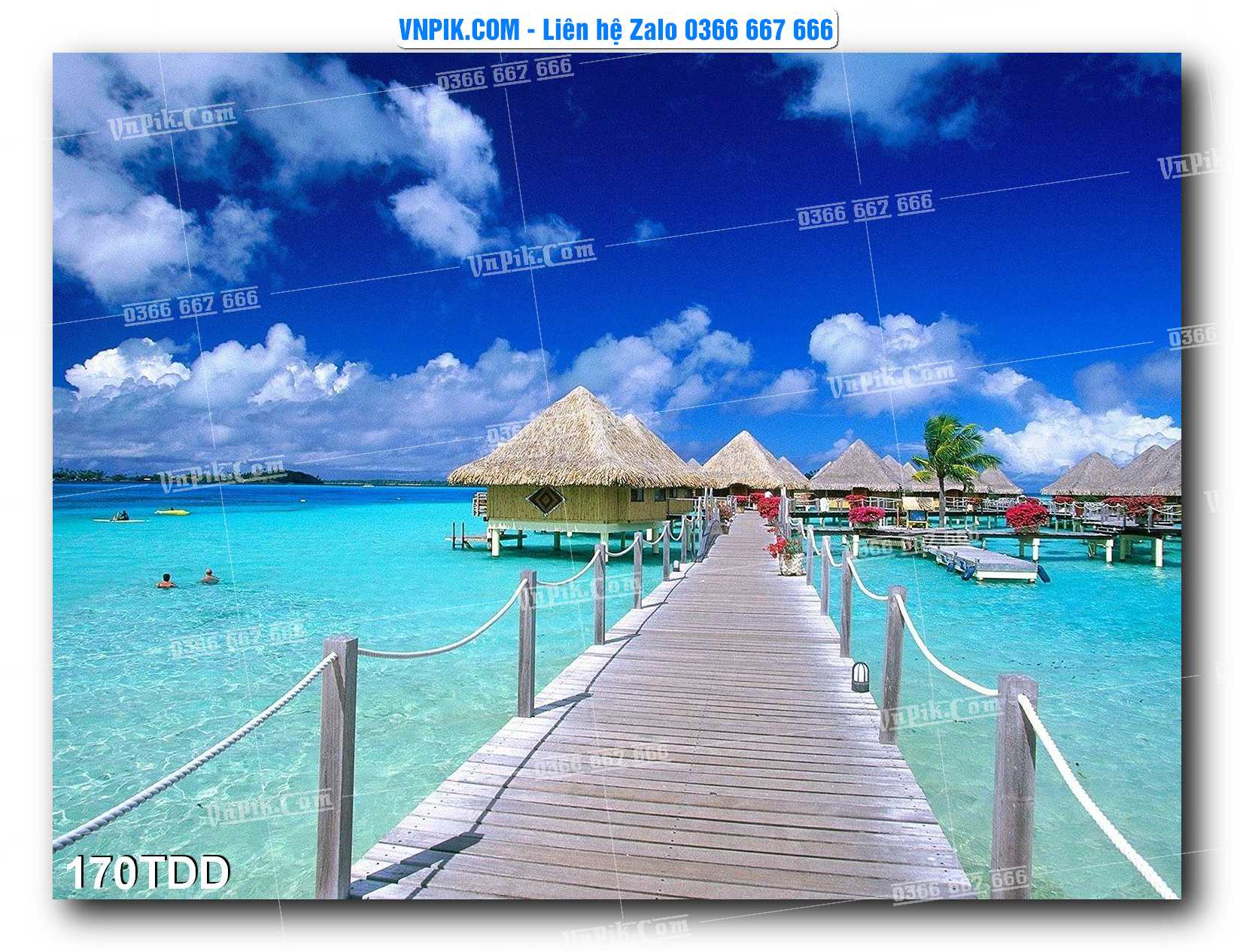 Tranh đại dương – cá heo 3D – tranh bể cá 170TDD