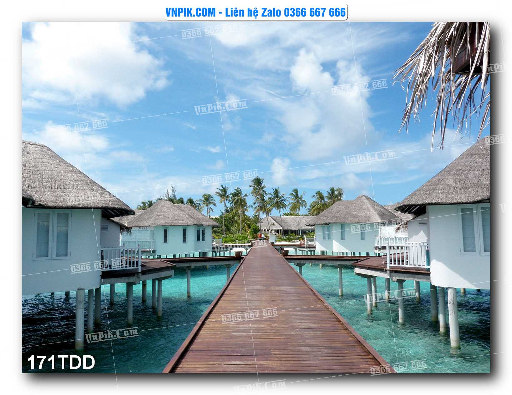 Tranh đại dương – cá heo 3D – tranh bể cá 171TDD