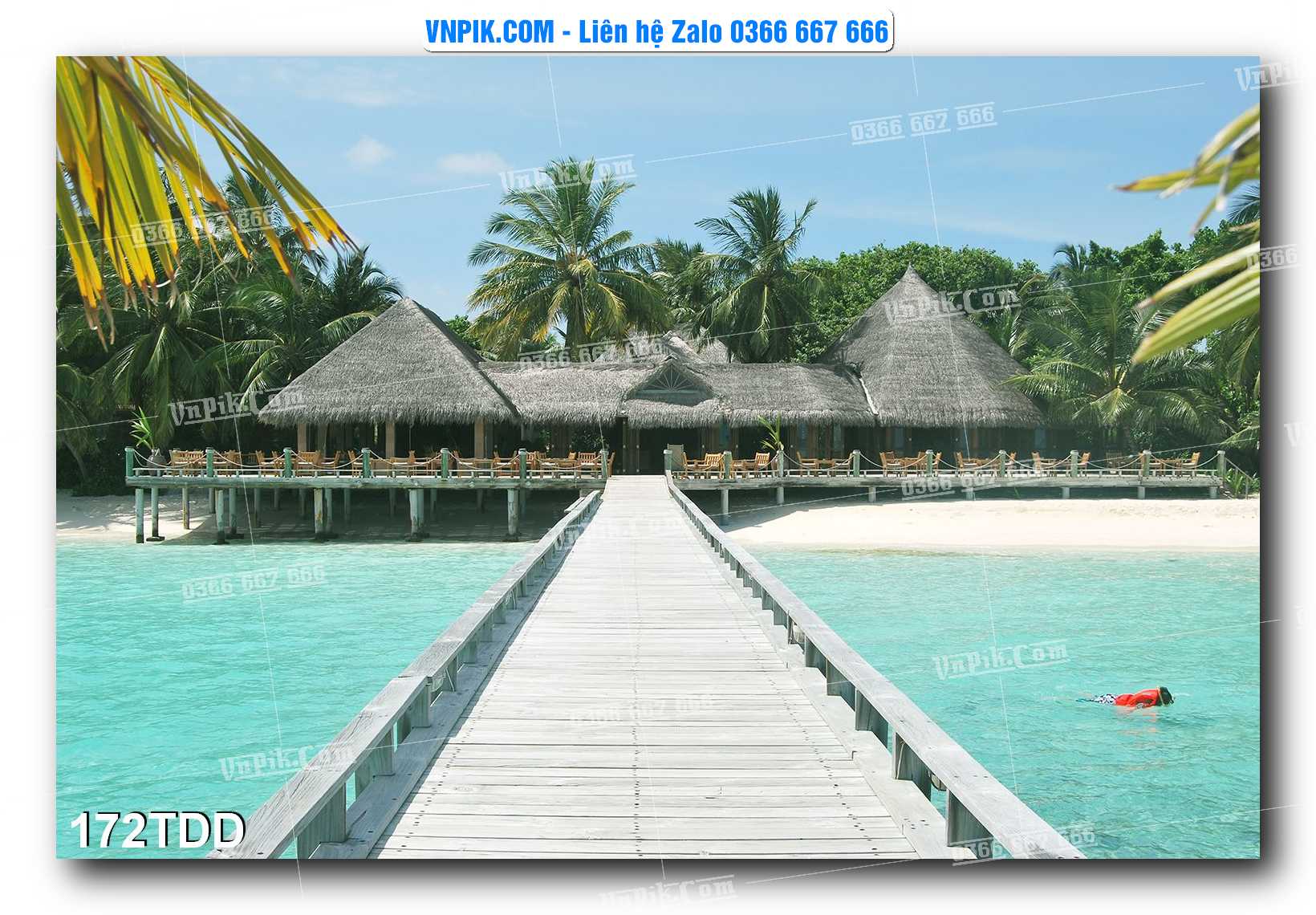 Tranh đại dương – cá heo 3D – tranh bể cá 172TDD
