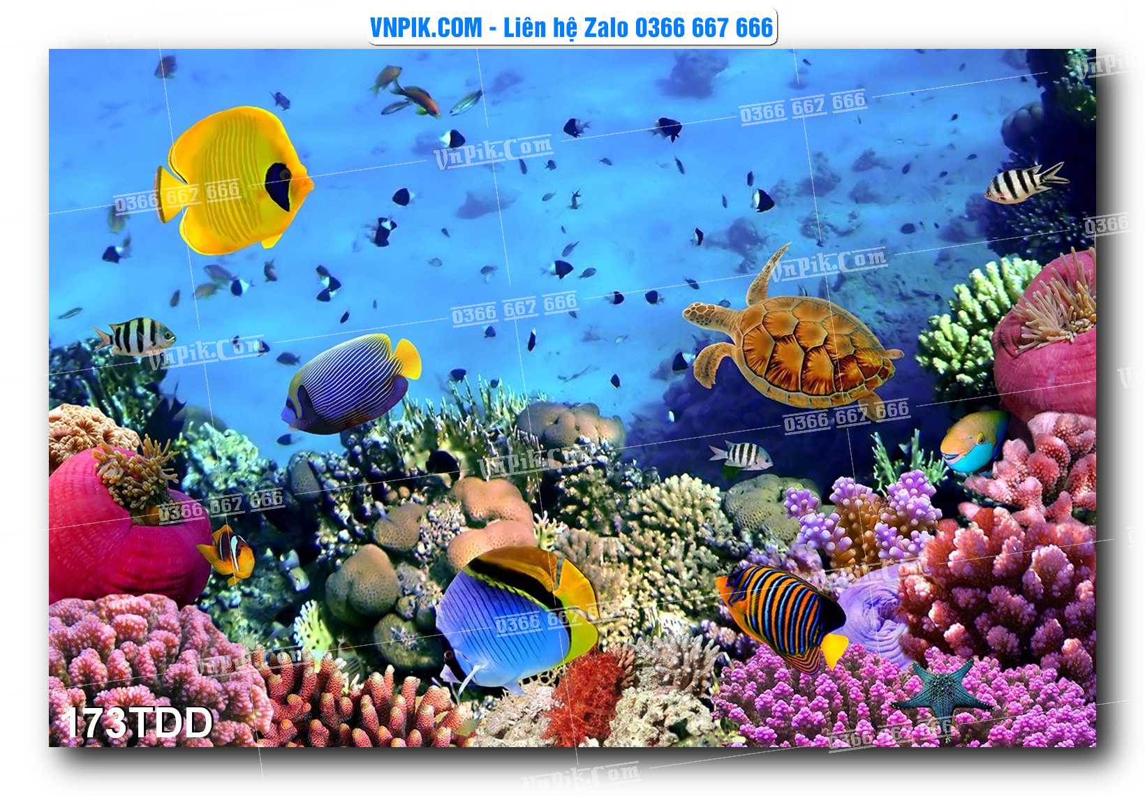 Tranh đại dương – cá heo 3D – tranh bể cá 173TDD