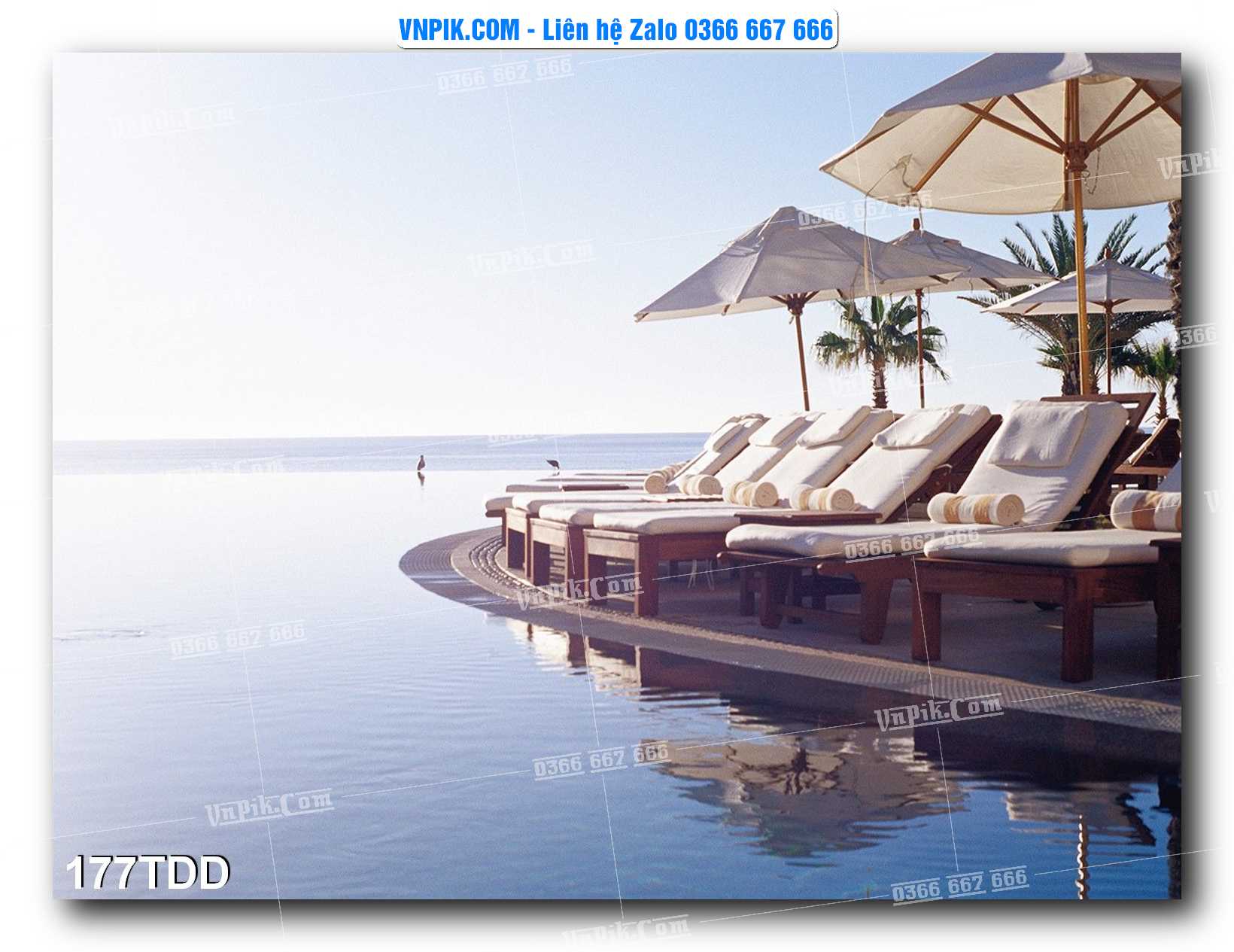 Tranh đại dương – cá heo 3D – tranh bể cá 177TDD