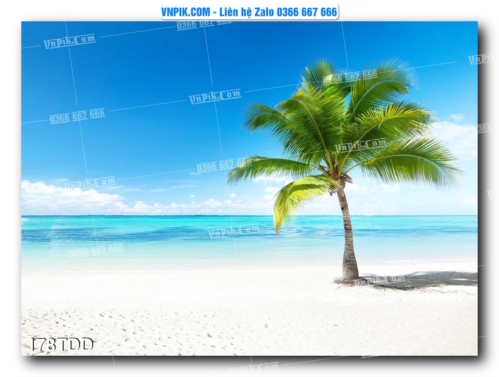Tranh đại dương – cá heo 3D – tranh bể cá 178TDD