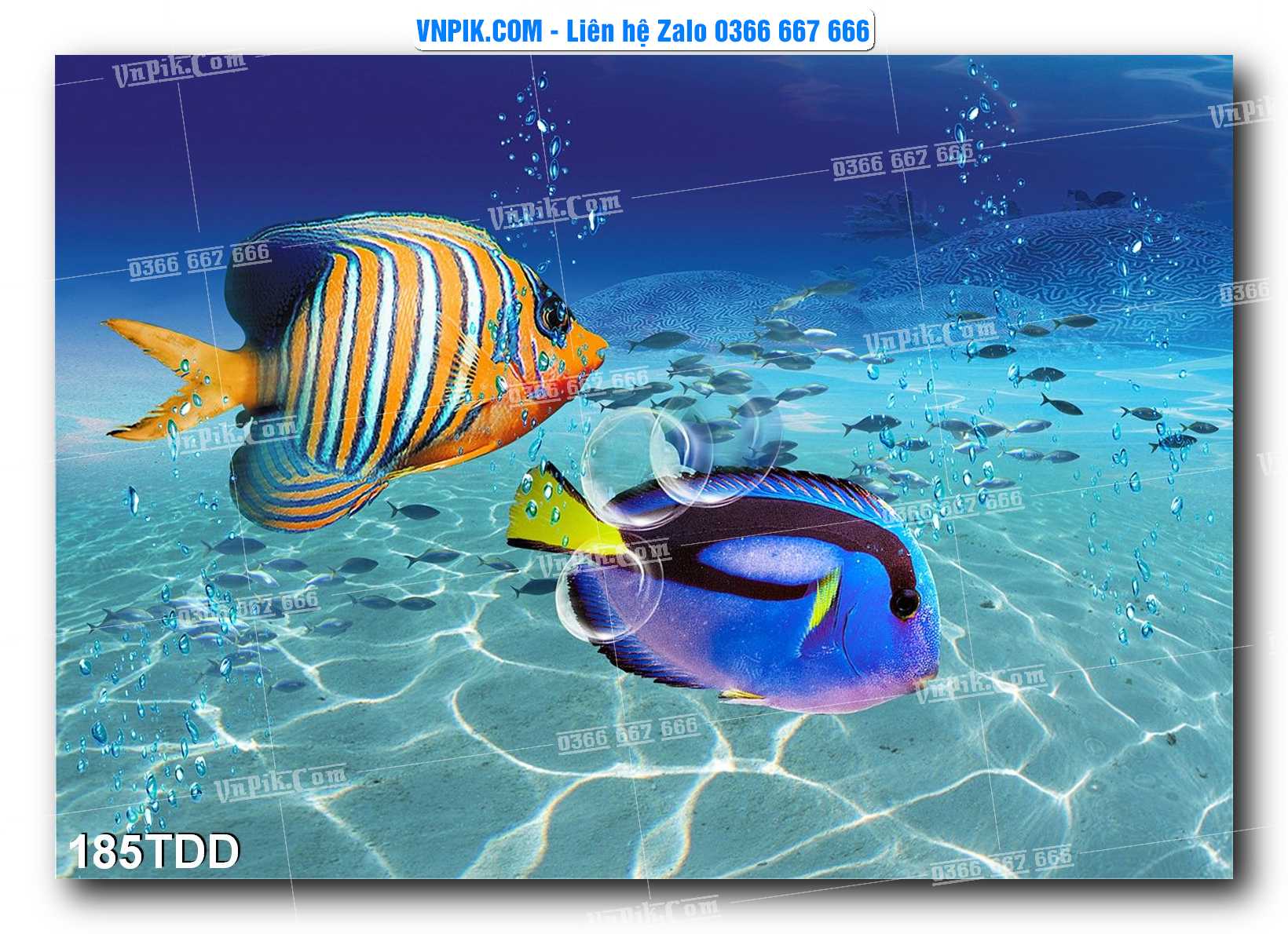 Tranh đại dương – cá heo 3D – tranh bể cá 185TDD