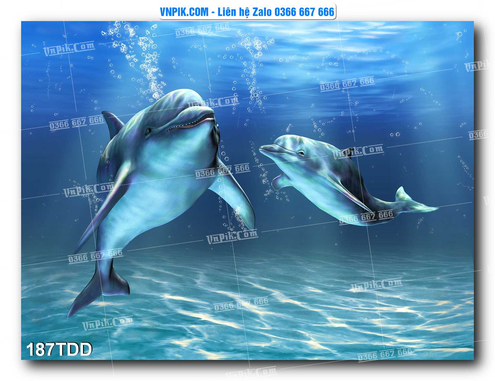 Tranh đại dương – cá heo 3D – tranh bể cá 187TDD