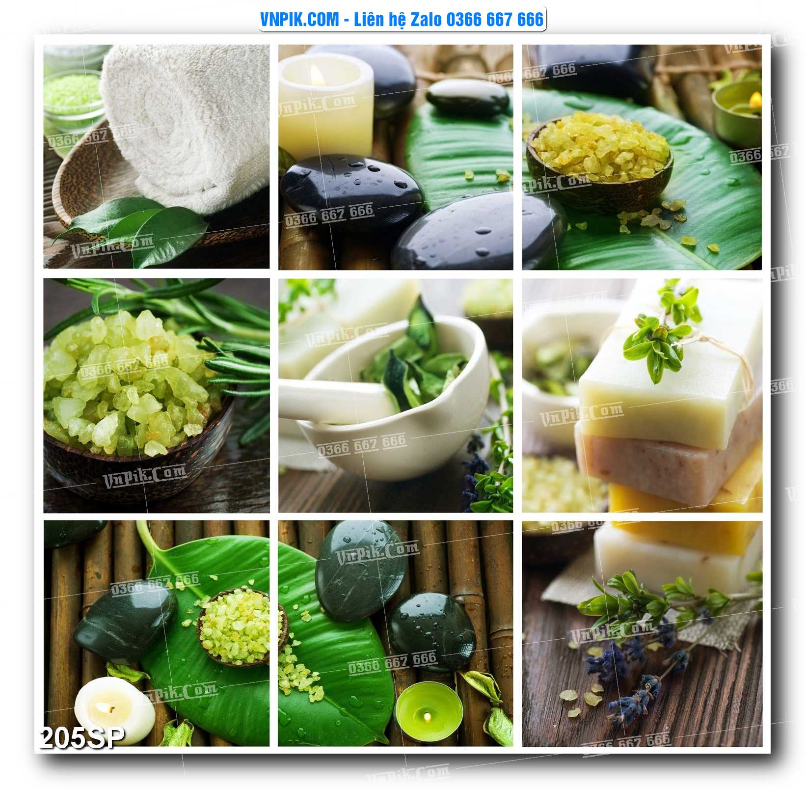 Mẫu tranh spa treo tường đẹp file vector – psd mẫu 204SP