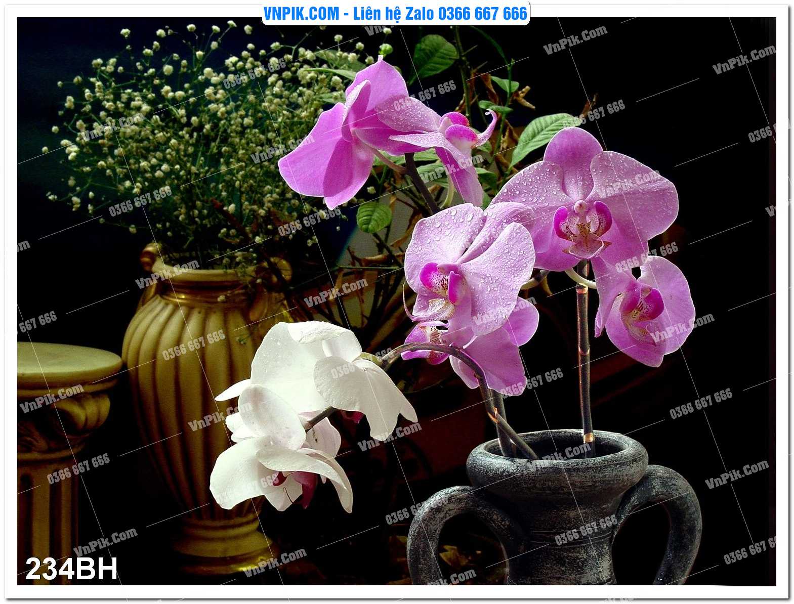 Tranh bình hoa nghệ thuật 234BH