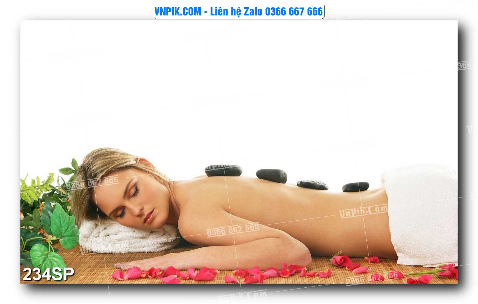 Mẫu tranh spa treo tường đẹp file vector – psd mẫu 234SP