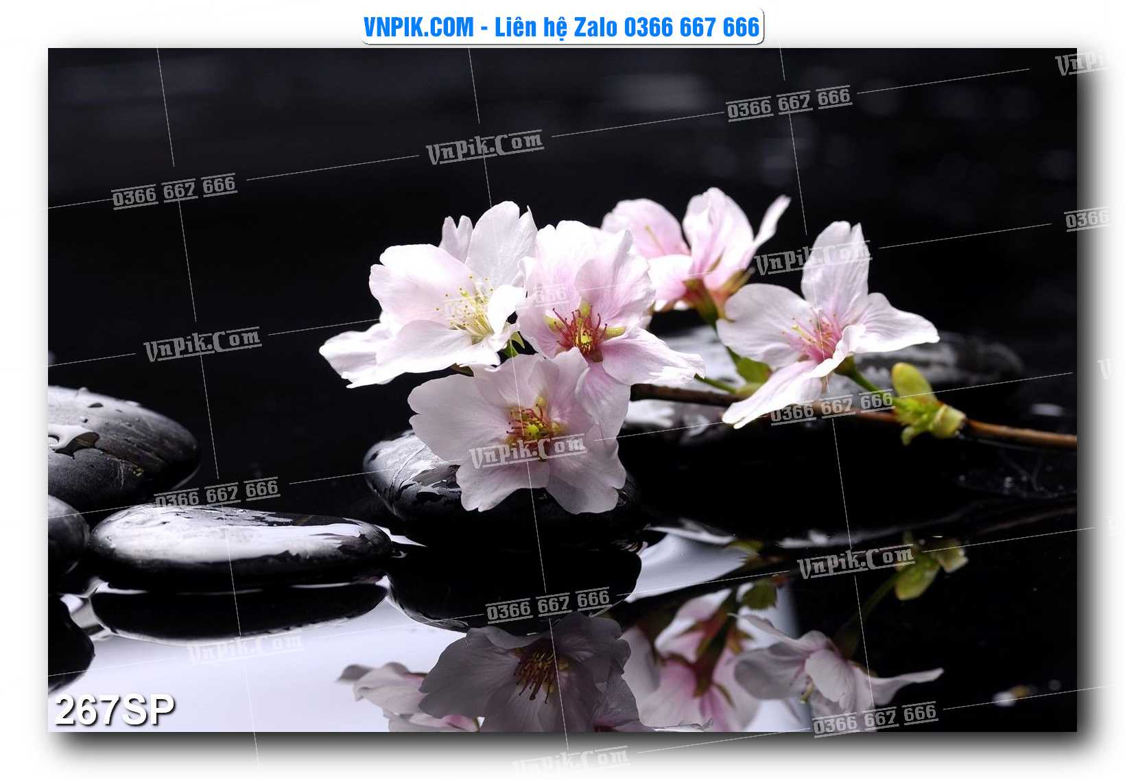 Mẫu tranh spa treo tường đẹp file vector – psd mẫu 267SP