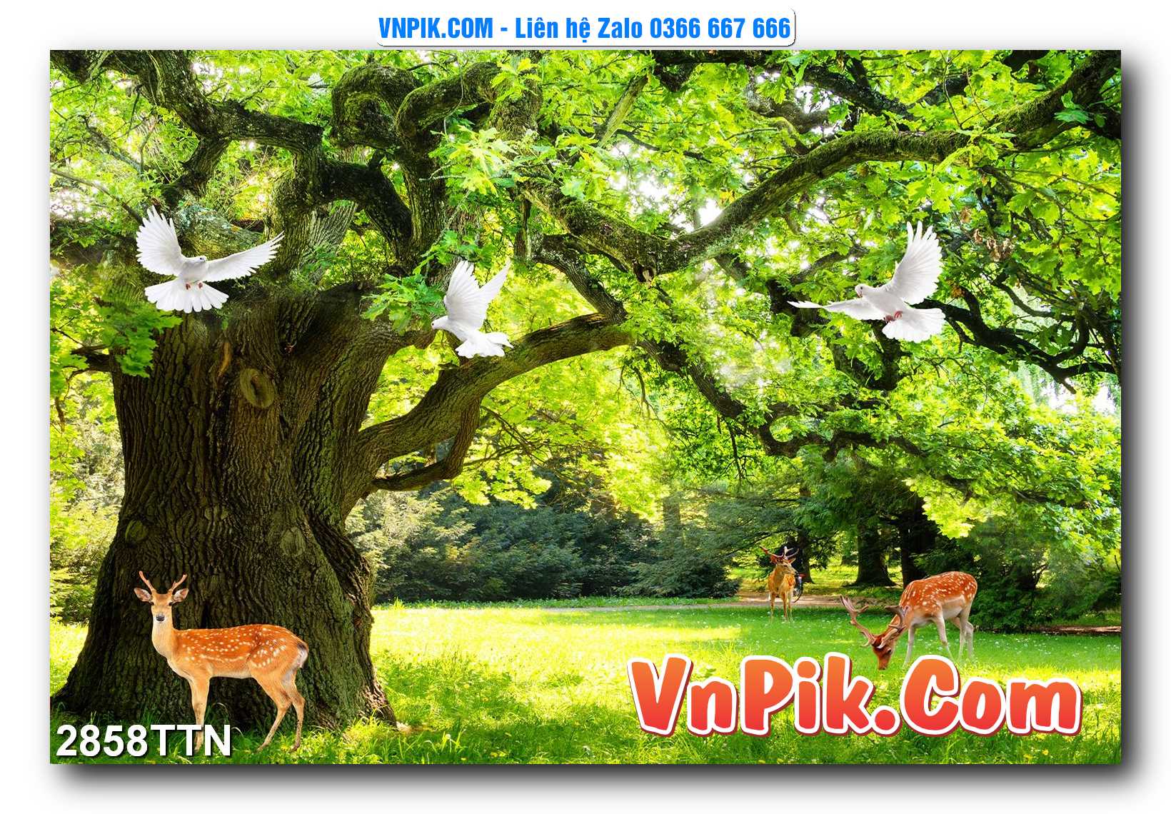 Tranh thác nước – Tranh phong thủy – Tranh treo tường mã 2858TTN