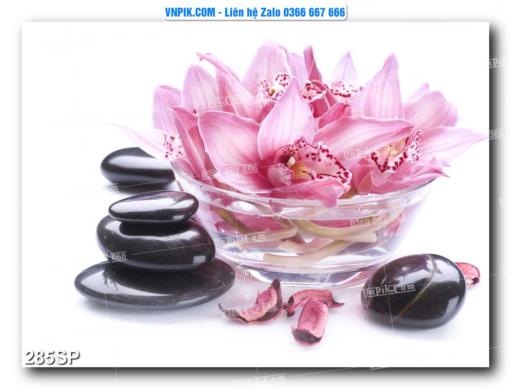Mẫu tranh spa treo tường đẹp file vector – psd mẫu 285SP