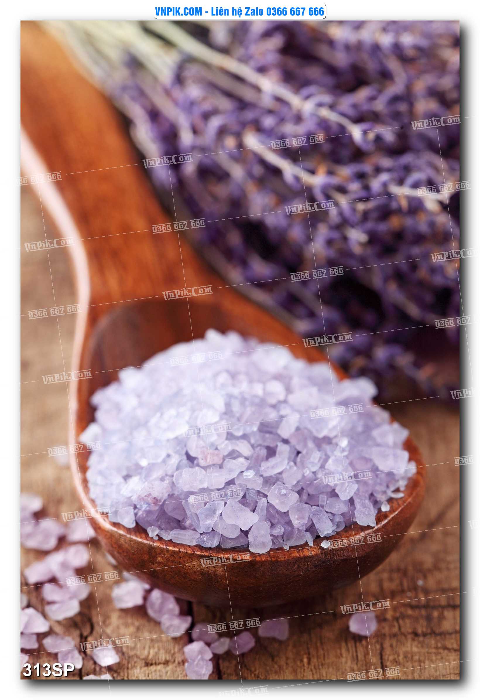 Mẫu tranh spa treo tường đẹp file vector – psd mẫu 312SP