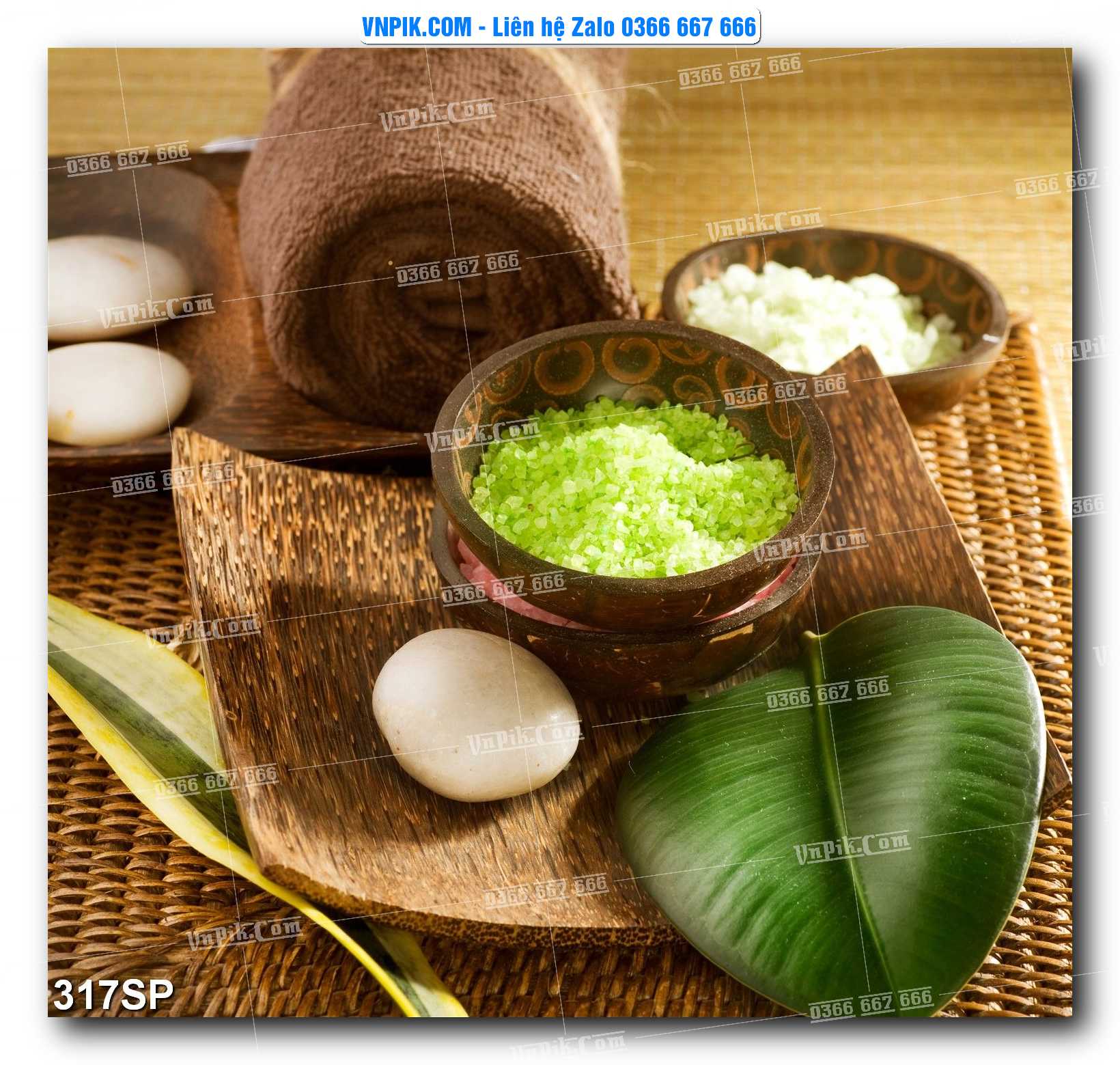 Mẫu tranh spa treo tường đẹp file vector – psd mẫu 317SP