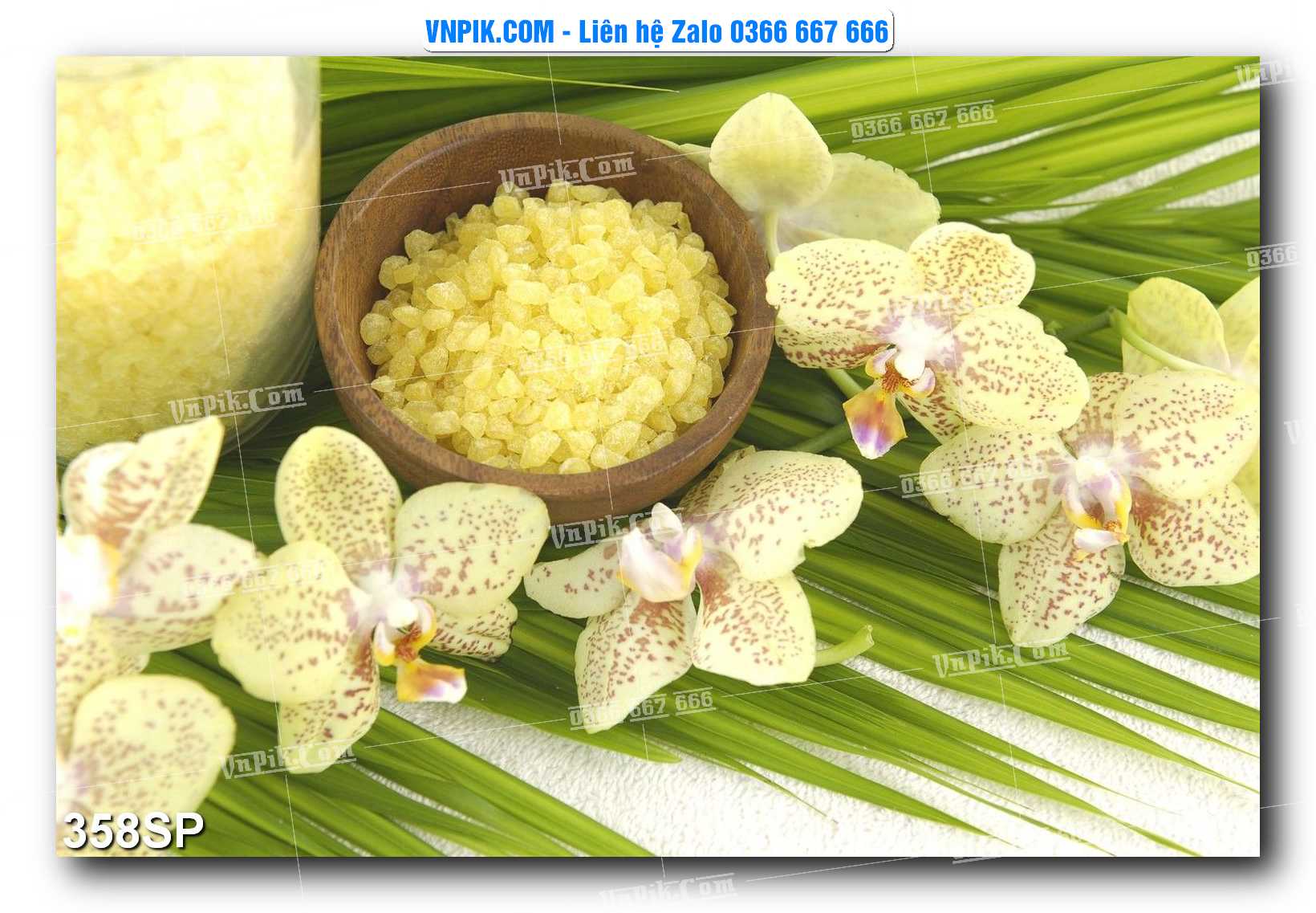 Mẫu tranh spa treo tường đẹp file vector – psd mẫu 358SP