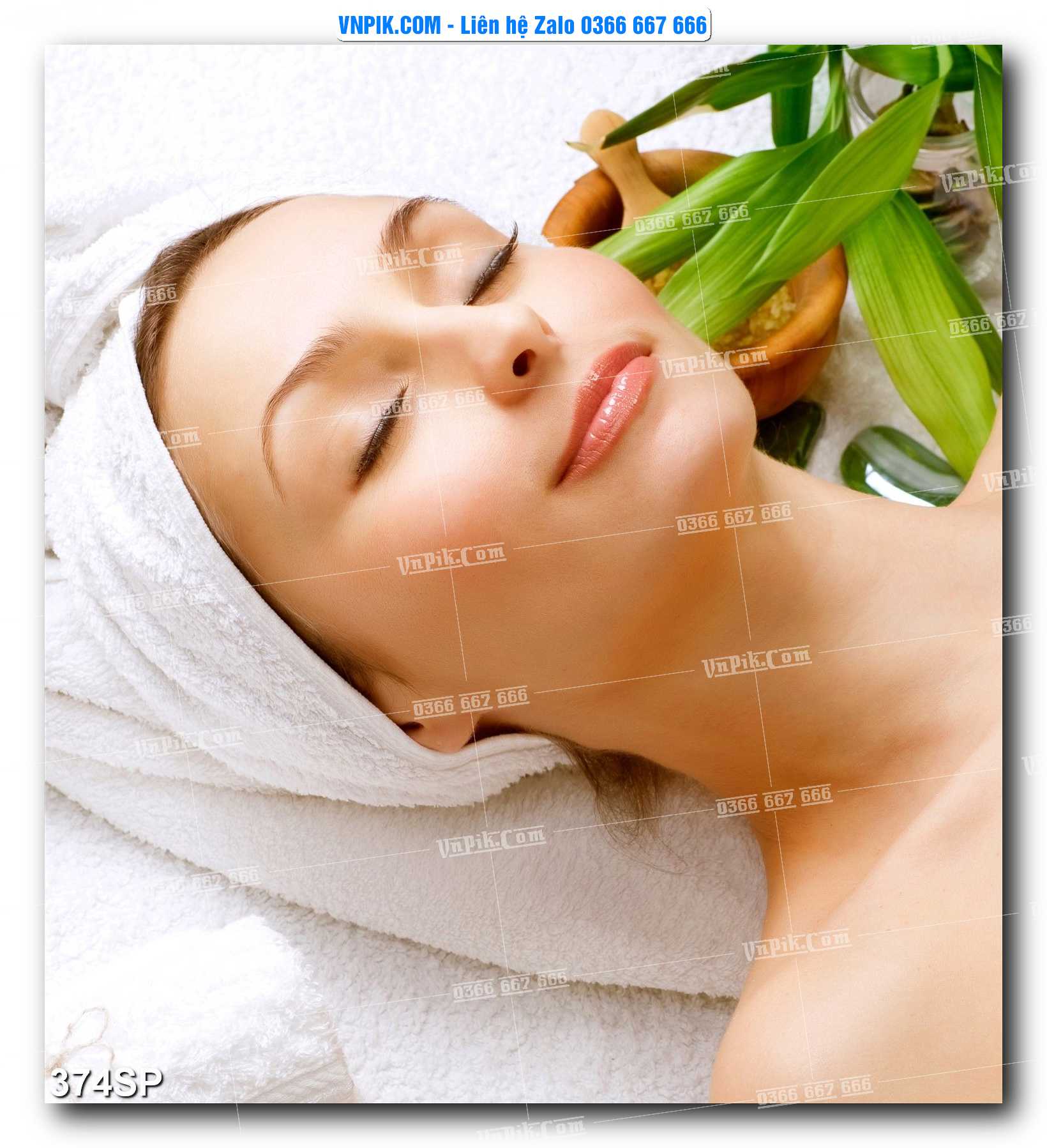 Mẫu tranh spa treo tường đẹp file vector – psd mẫu 374SP