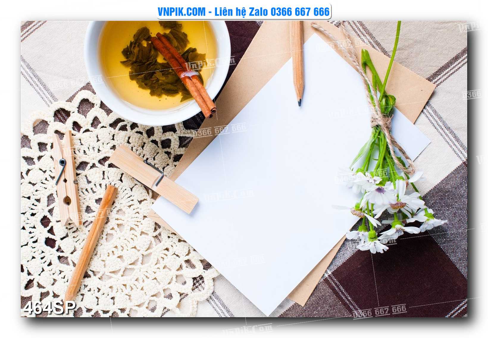 Mẫu tranh spa treo tường đẹp file vector – psd mẫu 464SP