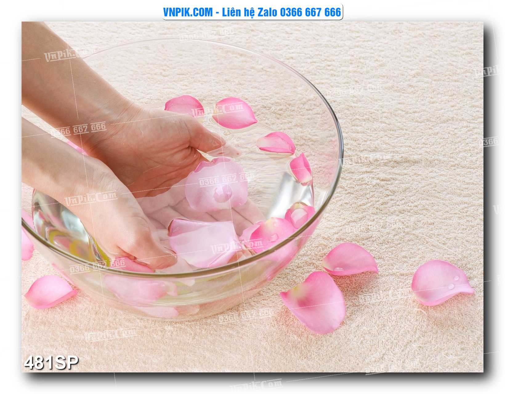 Mẫu tranh spa treo tường đẹp file vector – psd mẫu 481SP