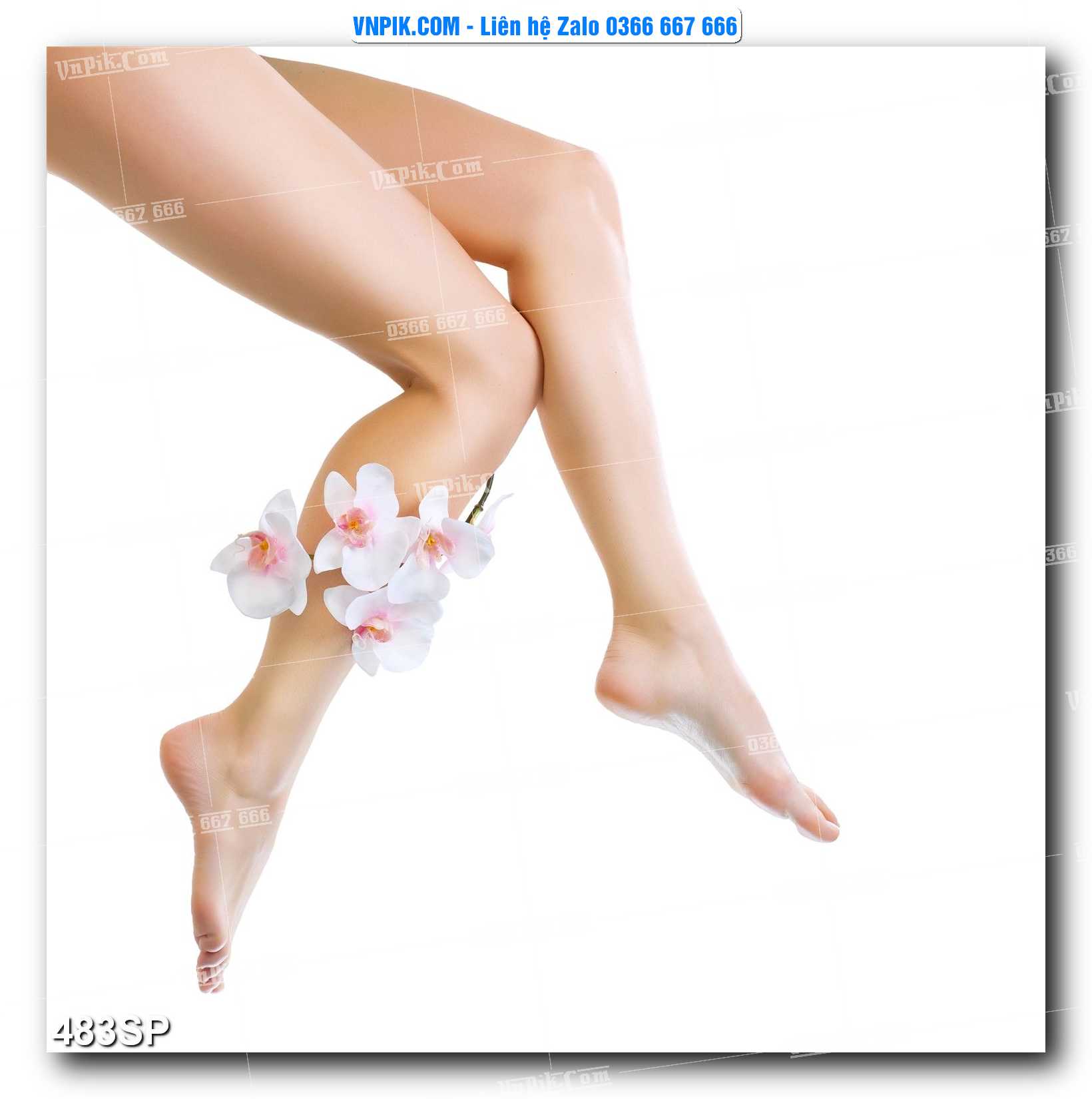 Mẫu tranh spa treo tường đẹp file vector – psd mẫu 483SP