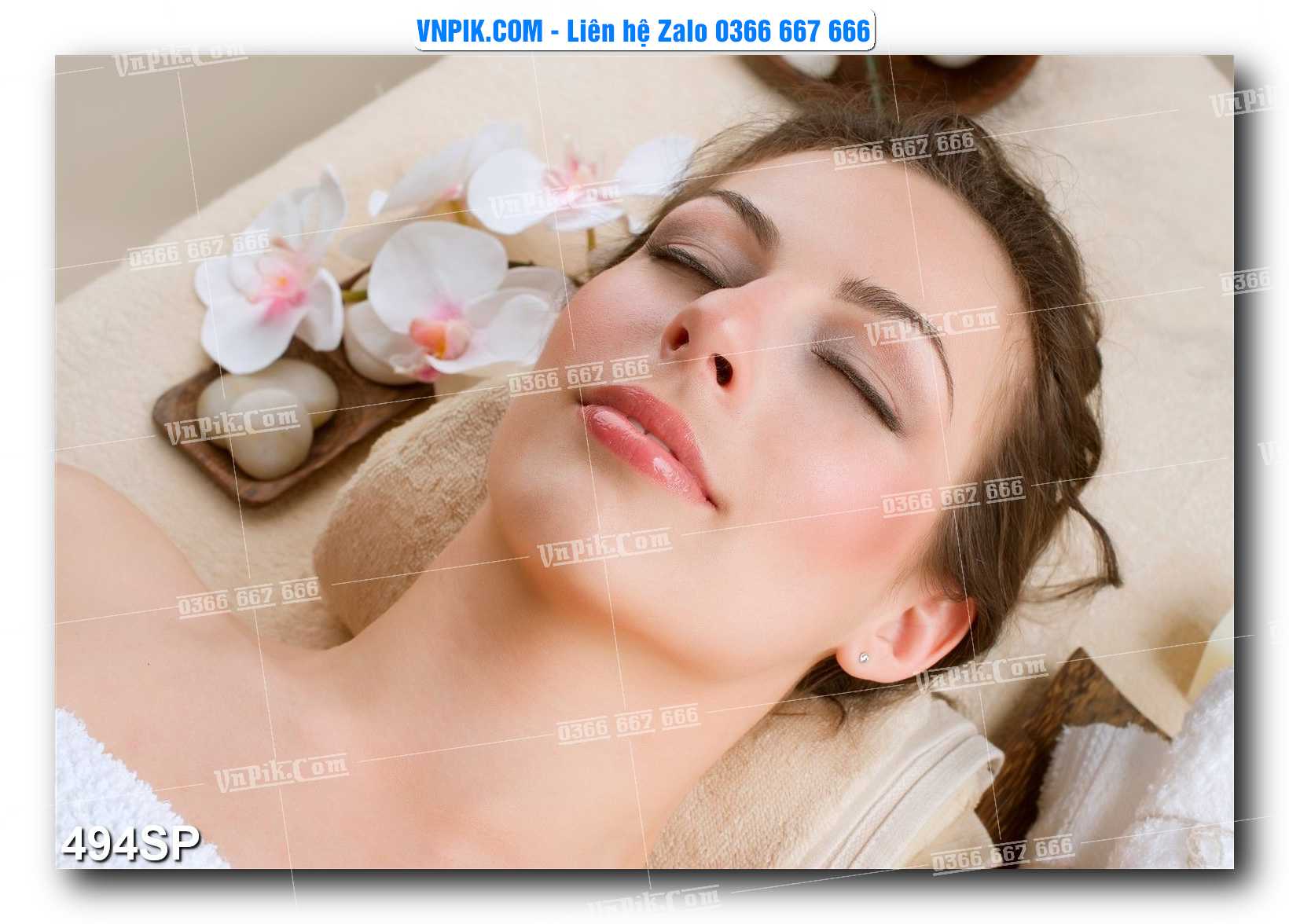 Mẫu tranh spa treo tường đẹp file vector – psd mẫu 494SP