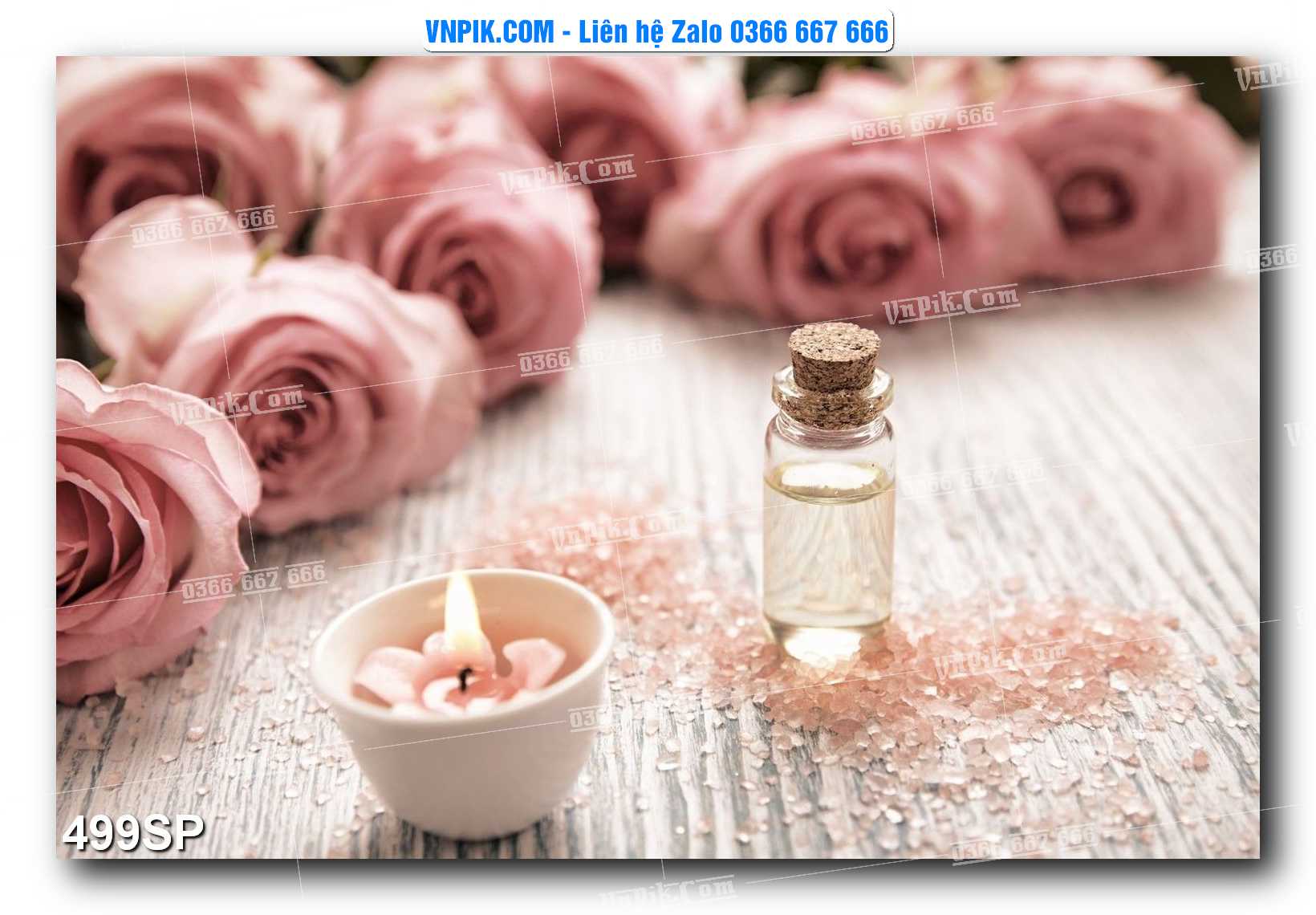 Mẫu tranh spa treo tường đẹp file vector – psd mẫu 499SP