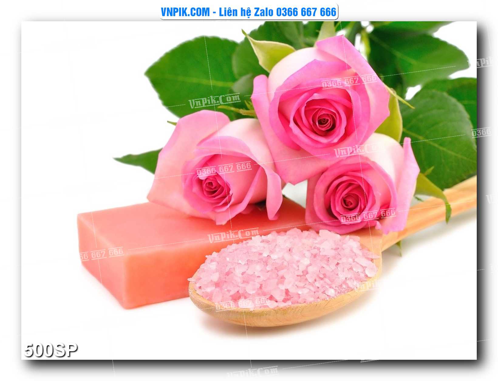 Mẫu tranh spa treo tường đẹp file vector – psd mẫu 500SP