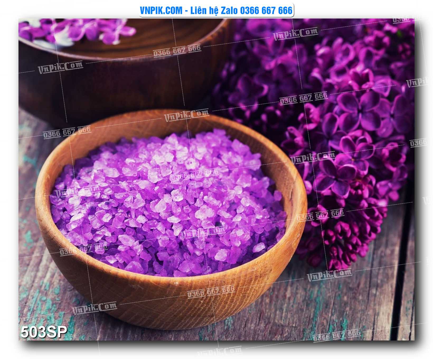 Mẫu tranh spa treo tường đẹp file vector – psd mẫu 503SP